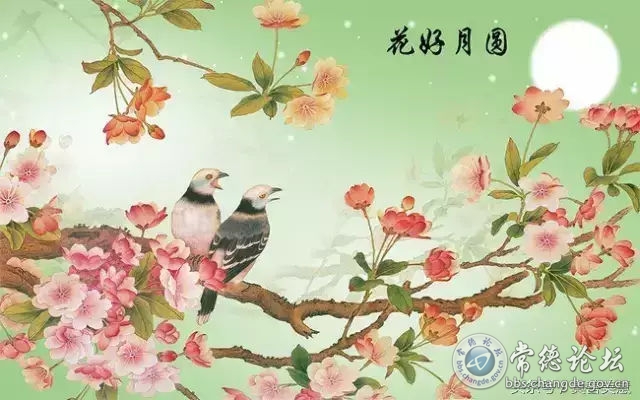 触屏版