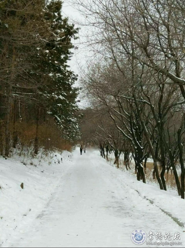 触屏版