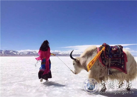 318旅游