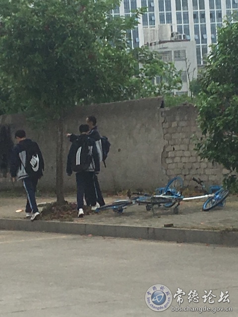 触屏版