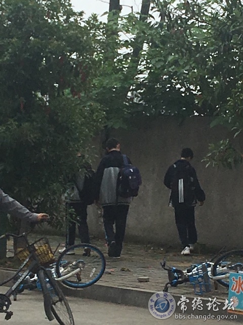 触屏版