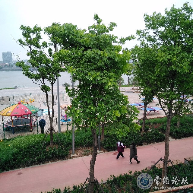 触屏版