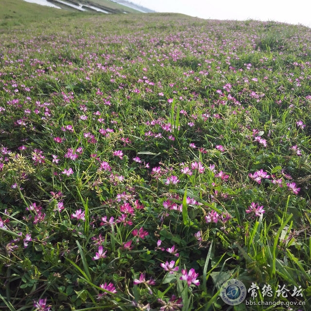 触屏版