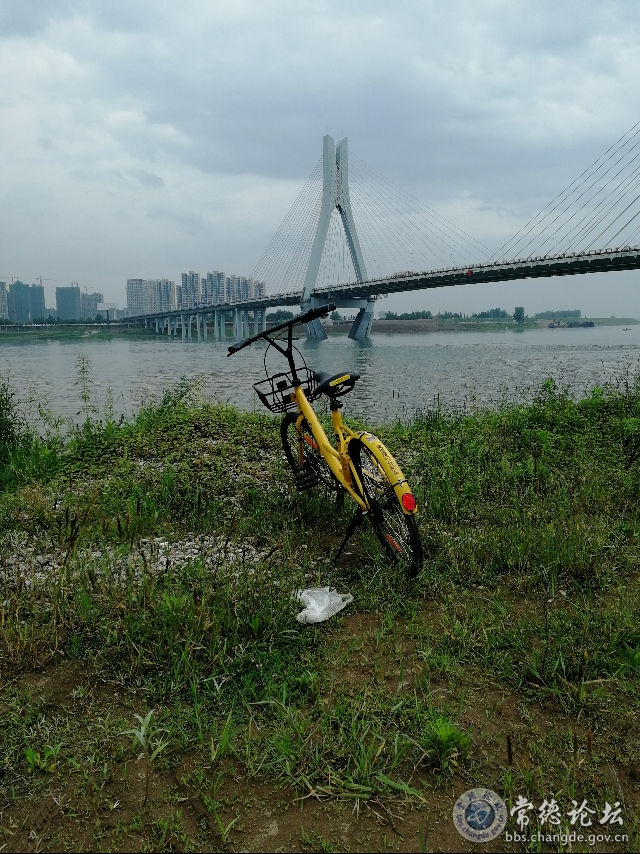 触屏版