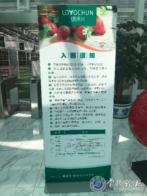 触屏版