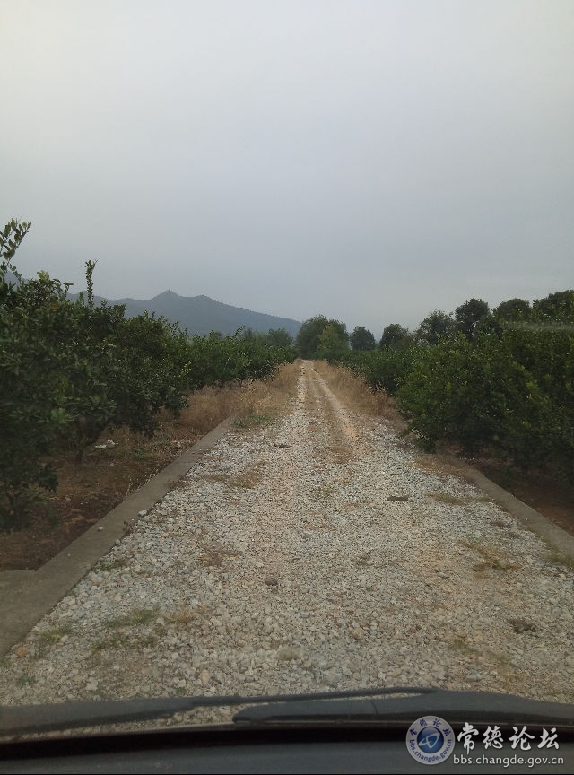 触屏版