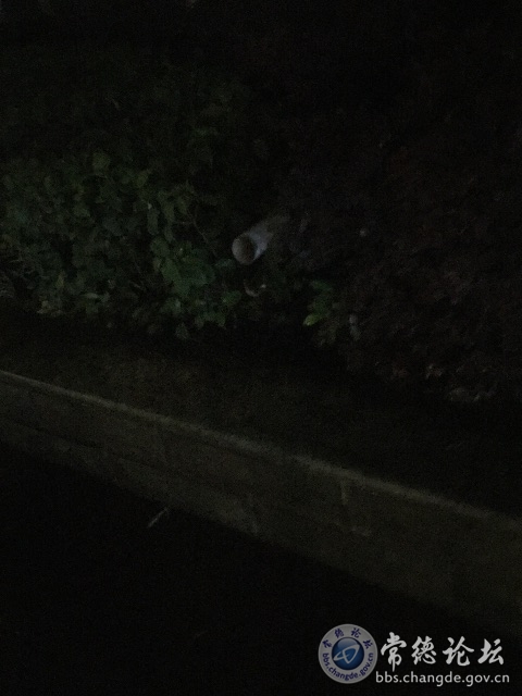 触屏版