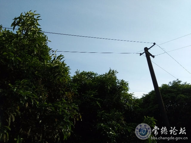 触屏版