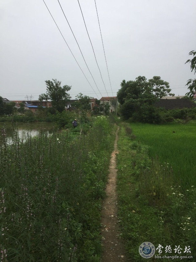 触屏版