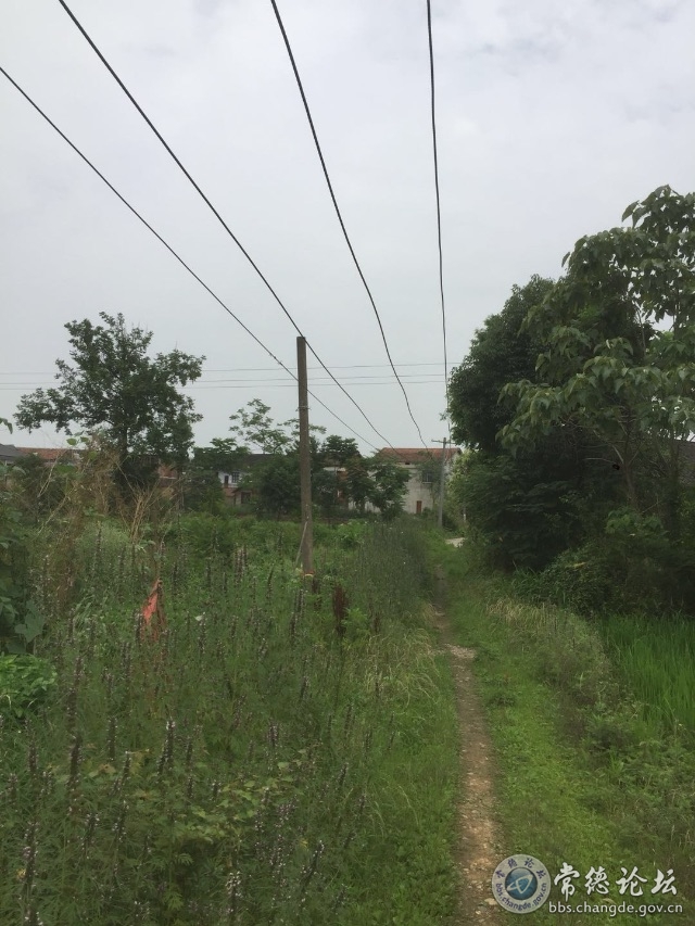 触屏版