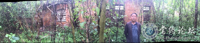 触屏版