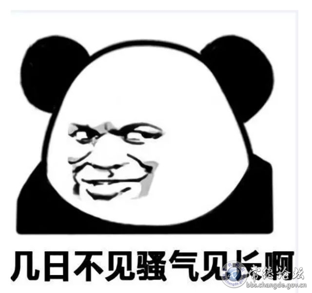 触屏版