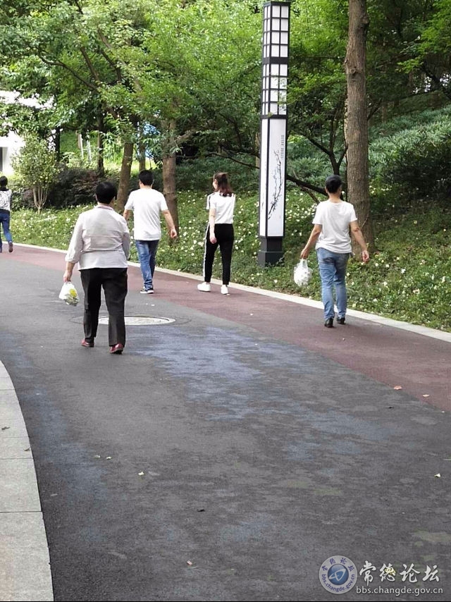触屏版