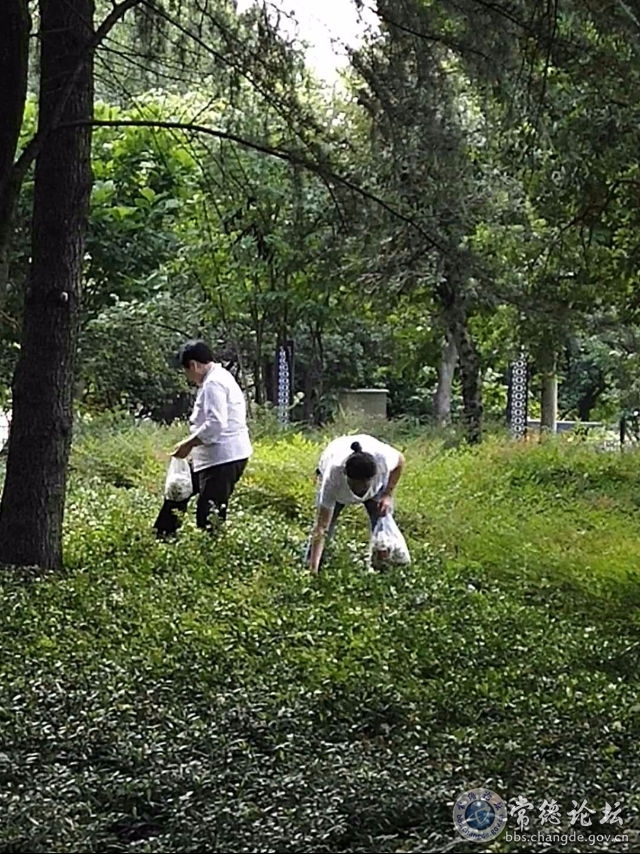 触屏版