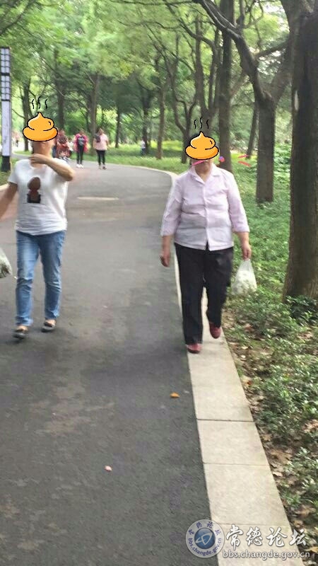 触屏版