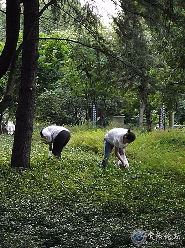 触屏版