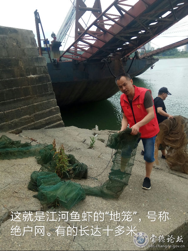 触屏版