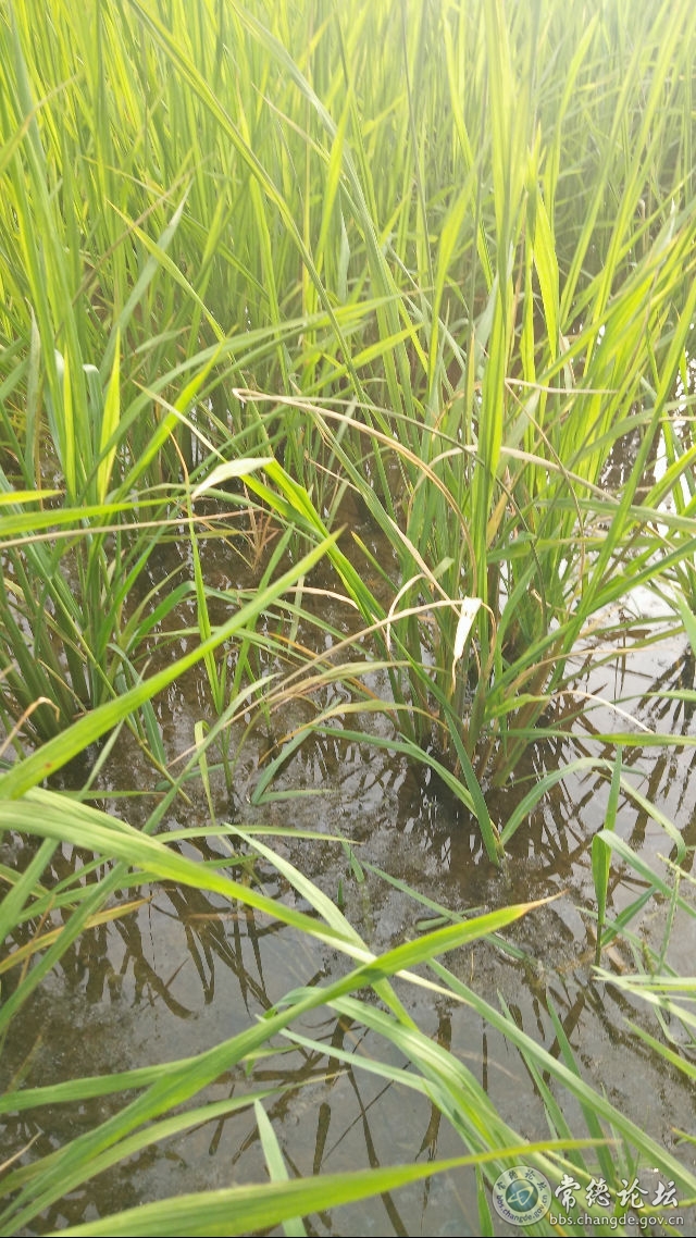 触屏版