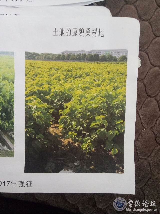 触屏版