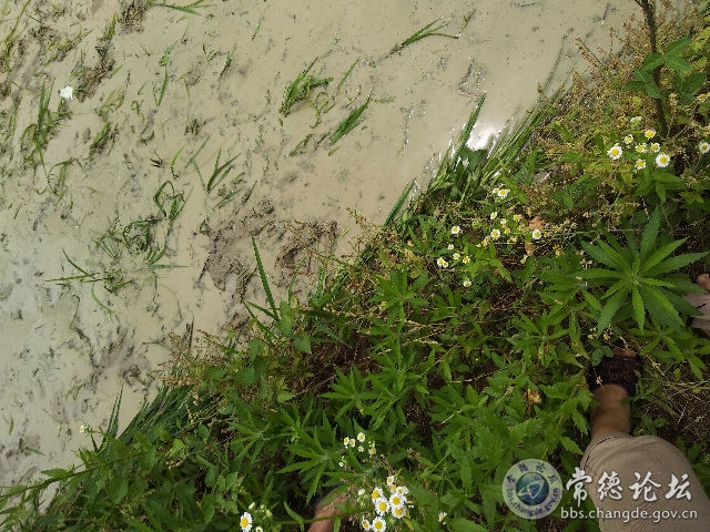 触屏版
