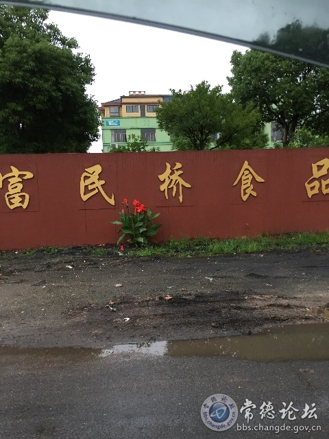 触屏版