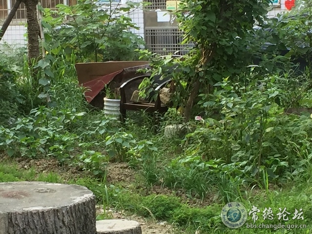 触屏版