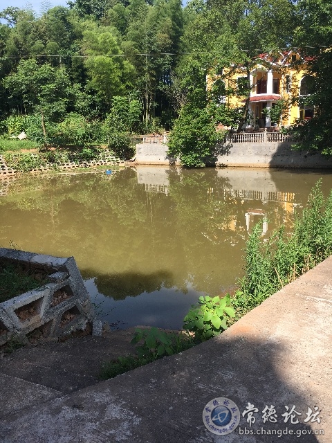 触屏版