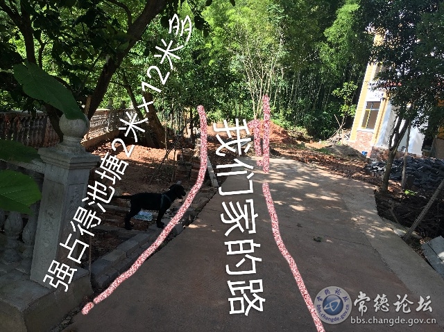 触屏版