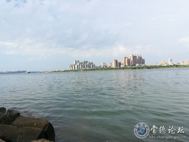 触屏版