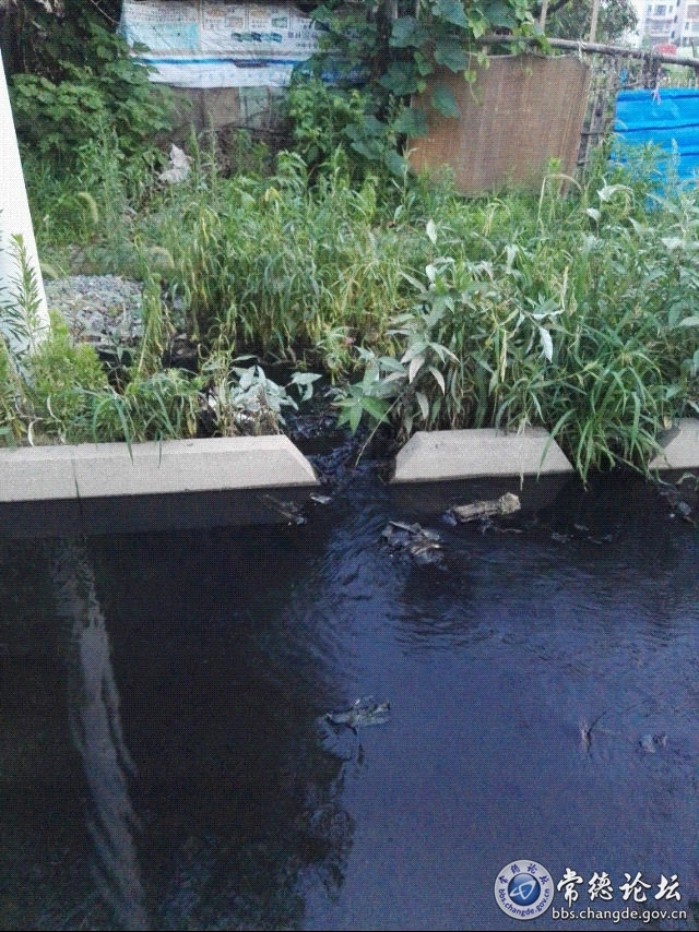 触屏版