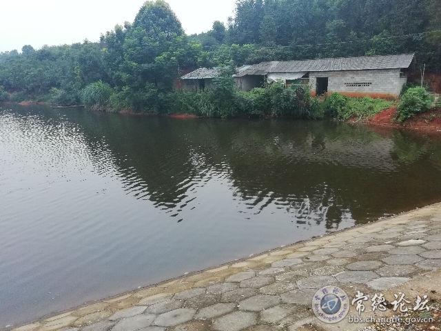 触屏版