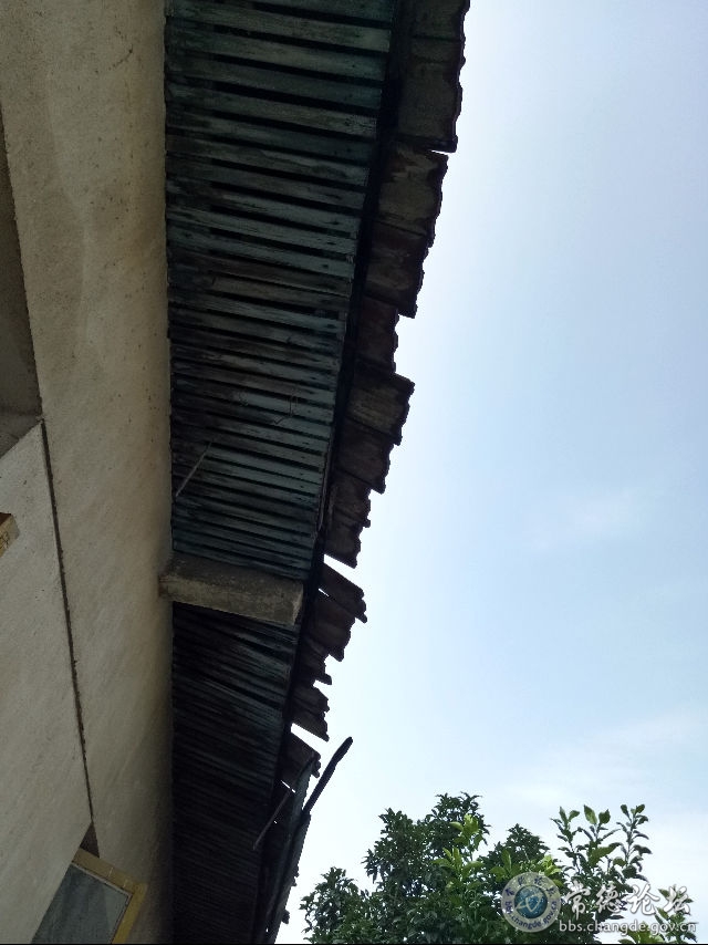 触屏版