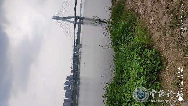 触屏版