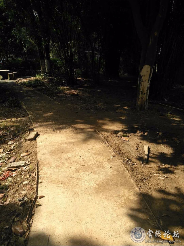 触屏版