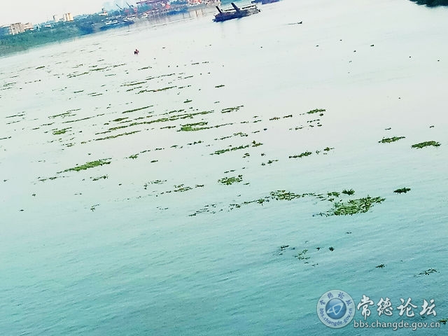 触屏版