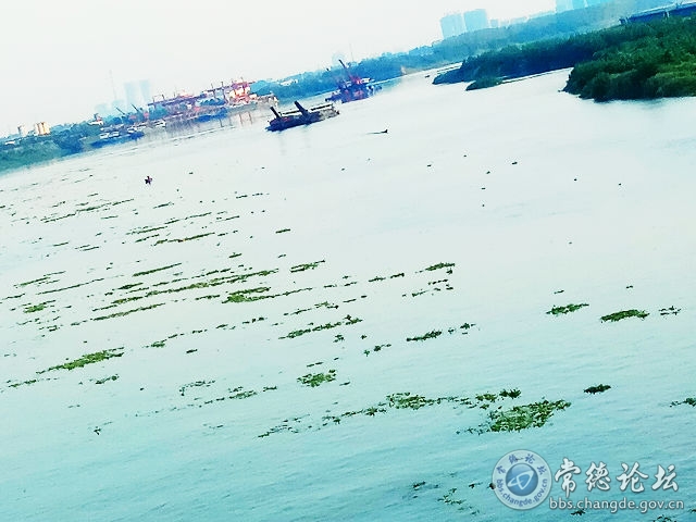 触屏版
