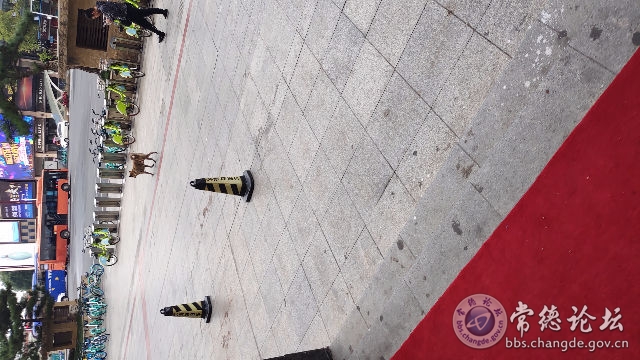 触屏版
