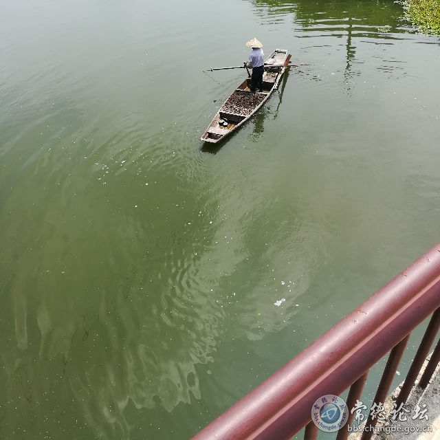 触屏版