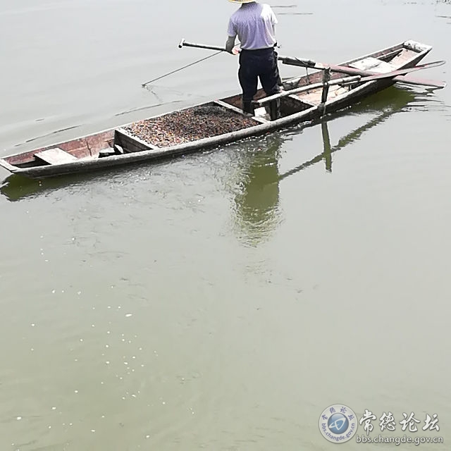 触屏版