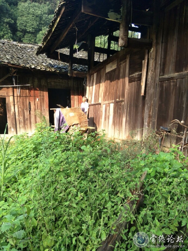 触屏版