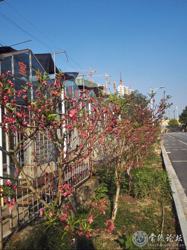 触屏版