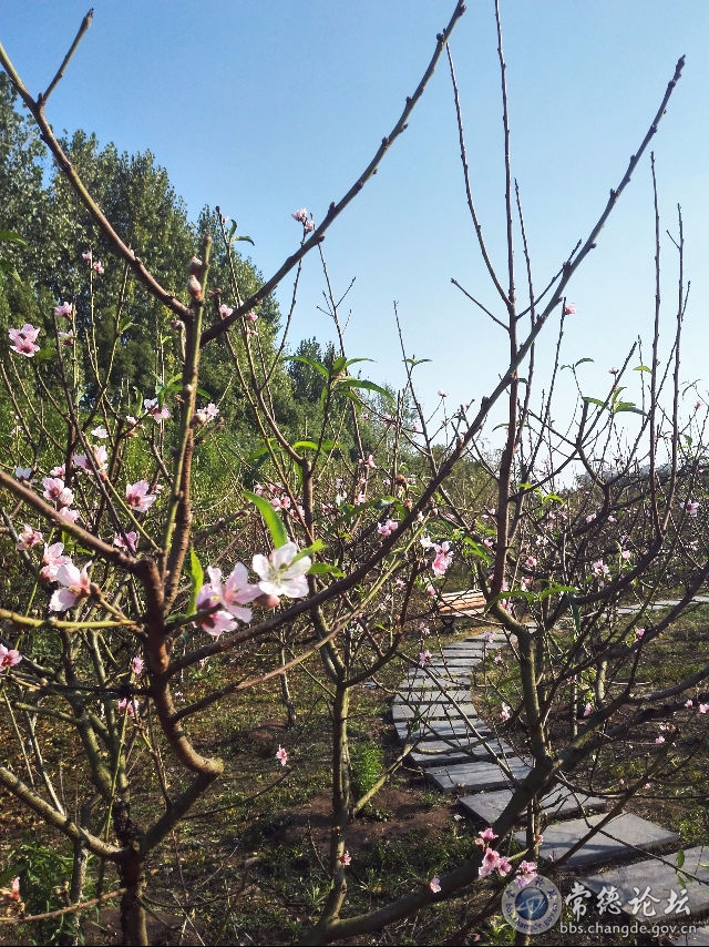 触屏版