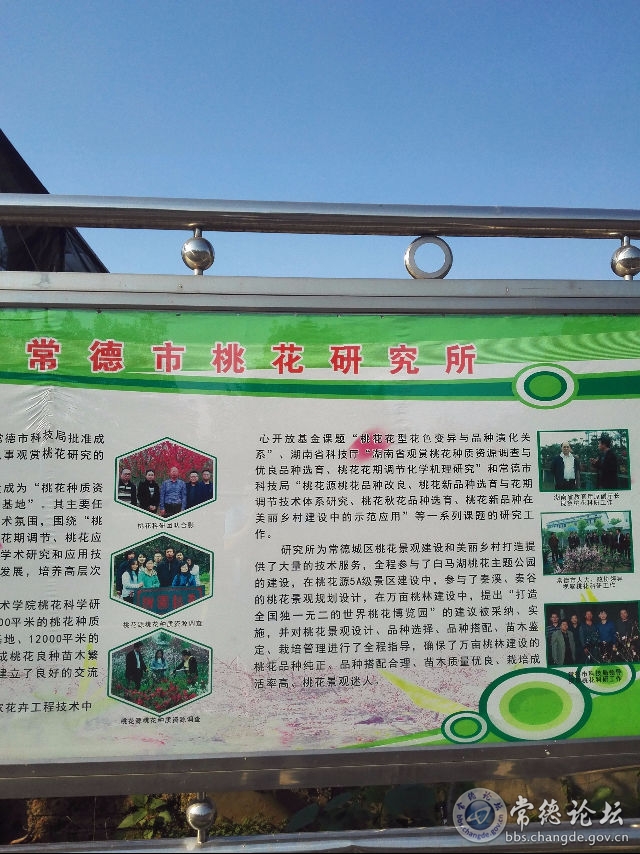 触屏版