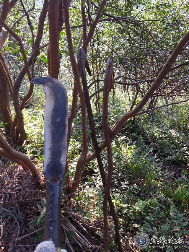 触屏版
