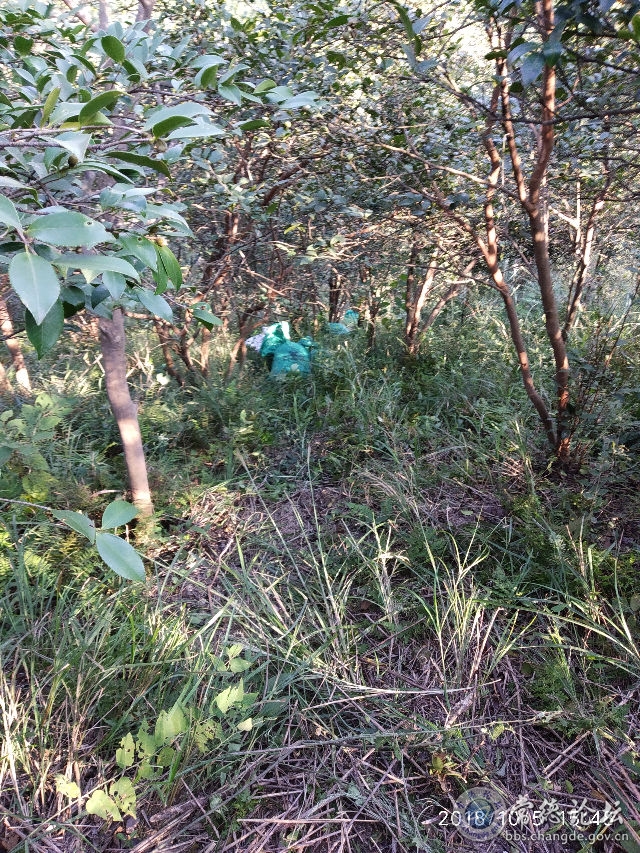 触屏版