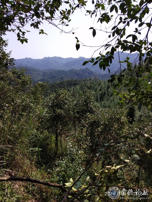 触屏版