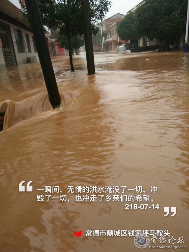 触屏版