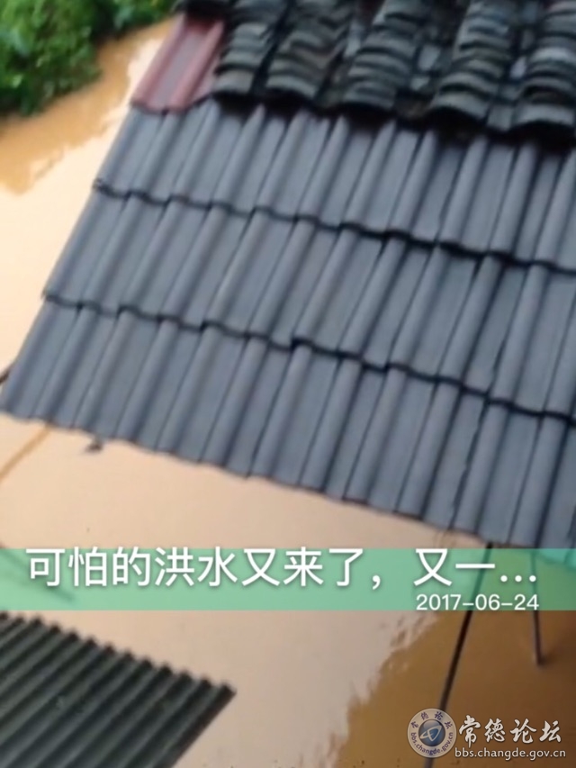 触屏版