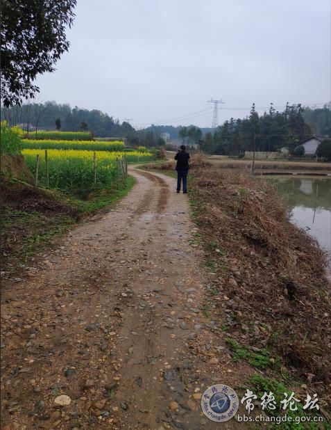 触屏版