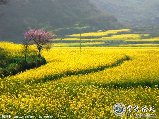 触屏版